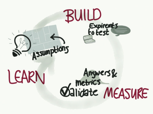 the lean startup